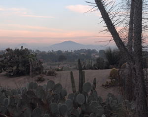 Plan a Trip that Brings a Change in Scenery / Balboa Park Cactus Garden, San Diego, CA - (c) 2006 Ted Grellner Travel U Plan / Balboa Park Cactus Garden, San Diego, CA - (c) 2006 Ted Grellner